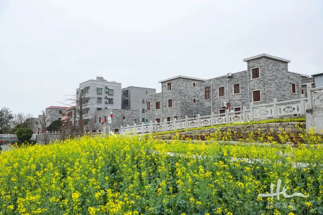 三灶这个400多年历史的古村落，花海环绕，坐拥沙滩海景……